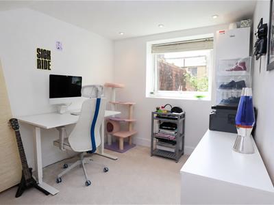 Picture 7